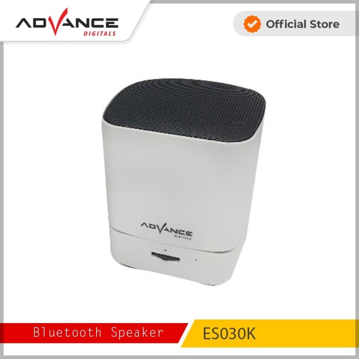 SPEAKER ADVANCE ES030K