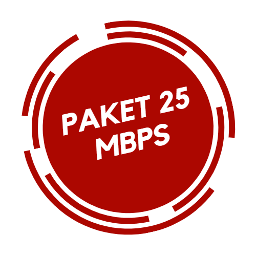 PAKET HOME 25 MBPS - BULANAN