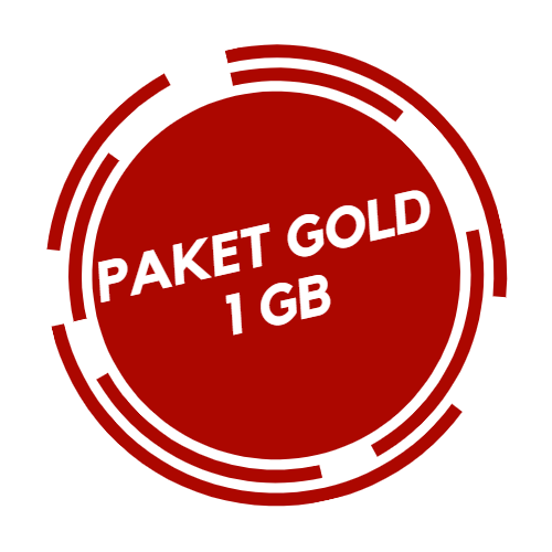 PAKET INTERNET DEDICATED 100 MBPS