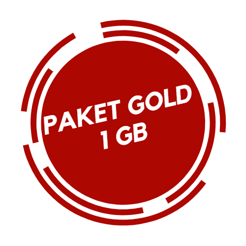 PAKET INTERNET GOLD 200 - 499 MBPS / 100 MBPS