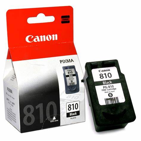 [496099] Cartridge Canon PG-810 Black