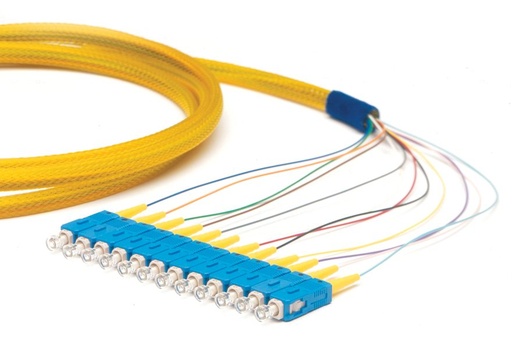 [100422] Ping Tail Fiber
