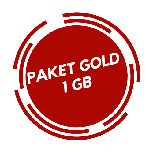 [CS08] PAKET INTERNET DEDICATED 500 - 999 MBPS
